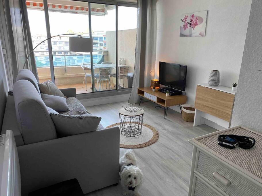 Joli Studio Vue Mer Et Port Mauguio Kültér fotó